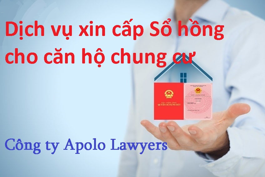 Dịch vụ xin cấp sổ hồng cho căn hộ chung cư mua trực tiếp từ chủ đầu tư