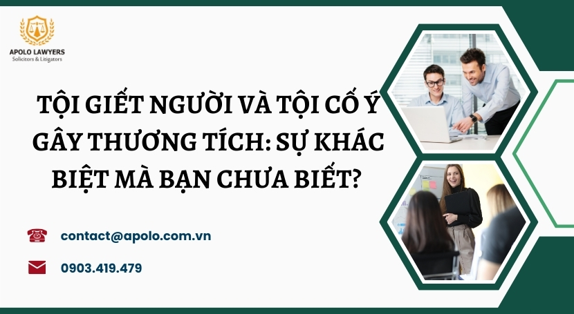 Dịch vụ Luật sư Apolo Lawyers