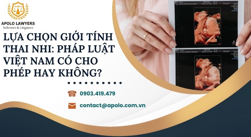 Dịch vụ Luật sư Apolo Lawyers
